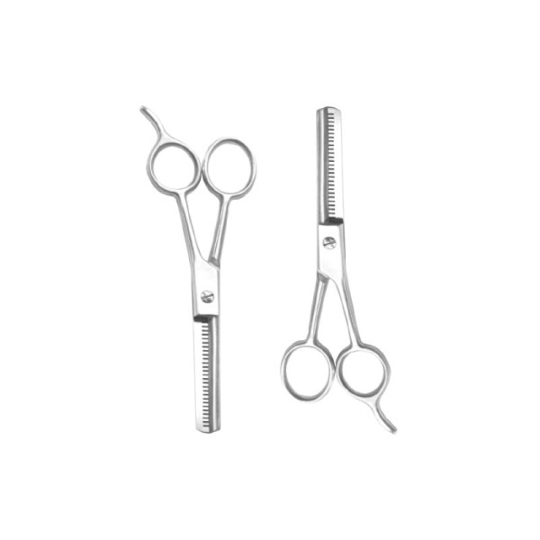 Ronney Professional - Effiliation scissors - Thinner 5,5" Silver